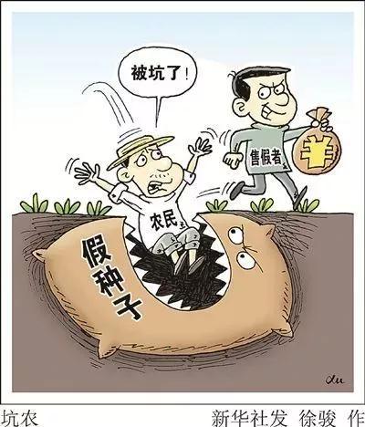 網(wǎng)上購買到假種子導(dǎo)致絕收，該怎么辦？購買多注意，維權(quán)有方法??？