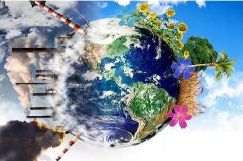 農(nóng)業(yè)的芯片：種子，水稻和小麥國產(chǎn)化率高，其他竟然全部進(jìn)口為主？